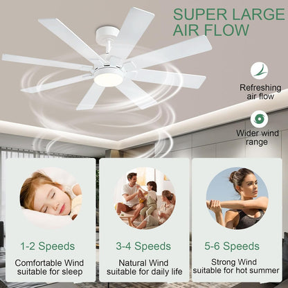 Ceiling Fan SY63
