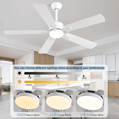 Ceiling Fan SY39