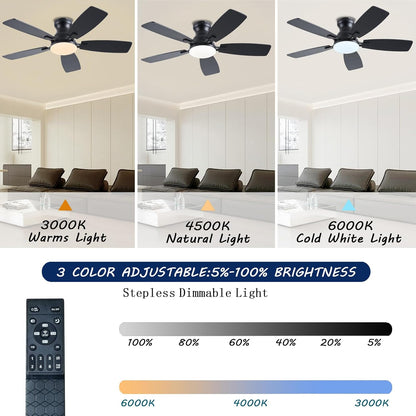 Ceiling Fan JL-66
