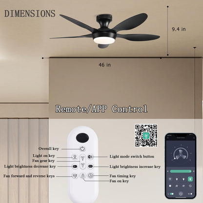 Ceiling Fan Gg-72