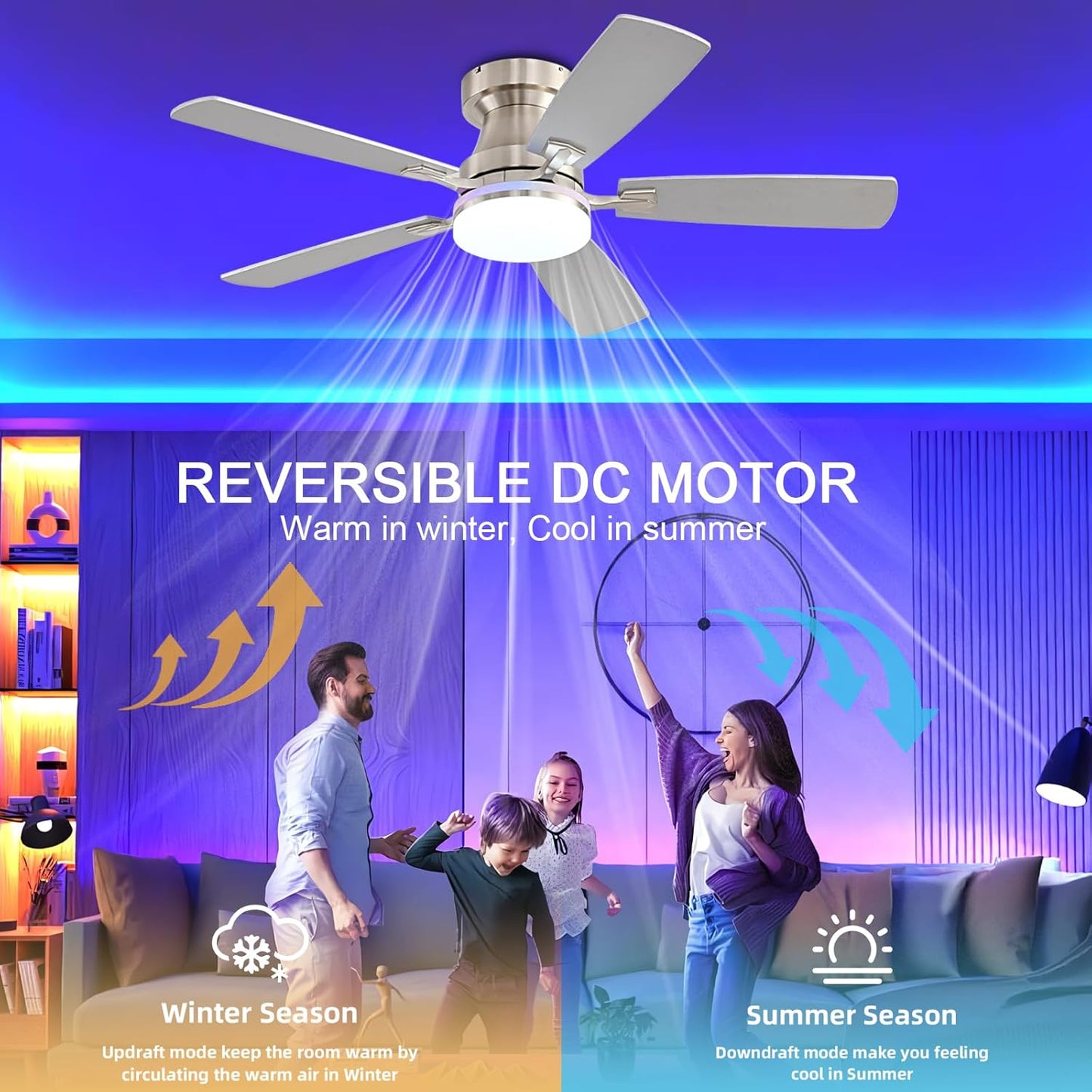 Ceiling Fan SY-62