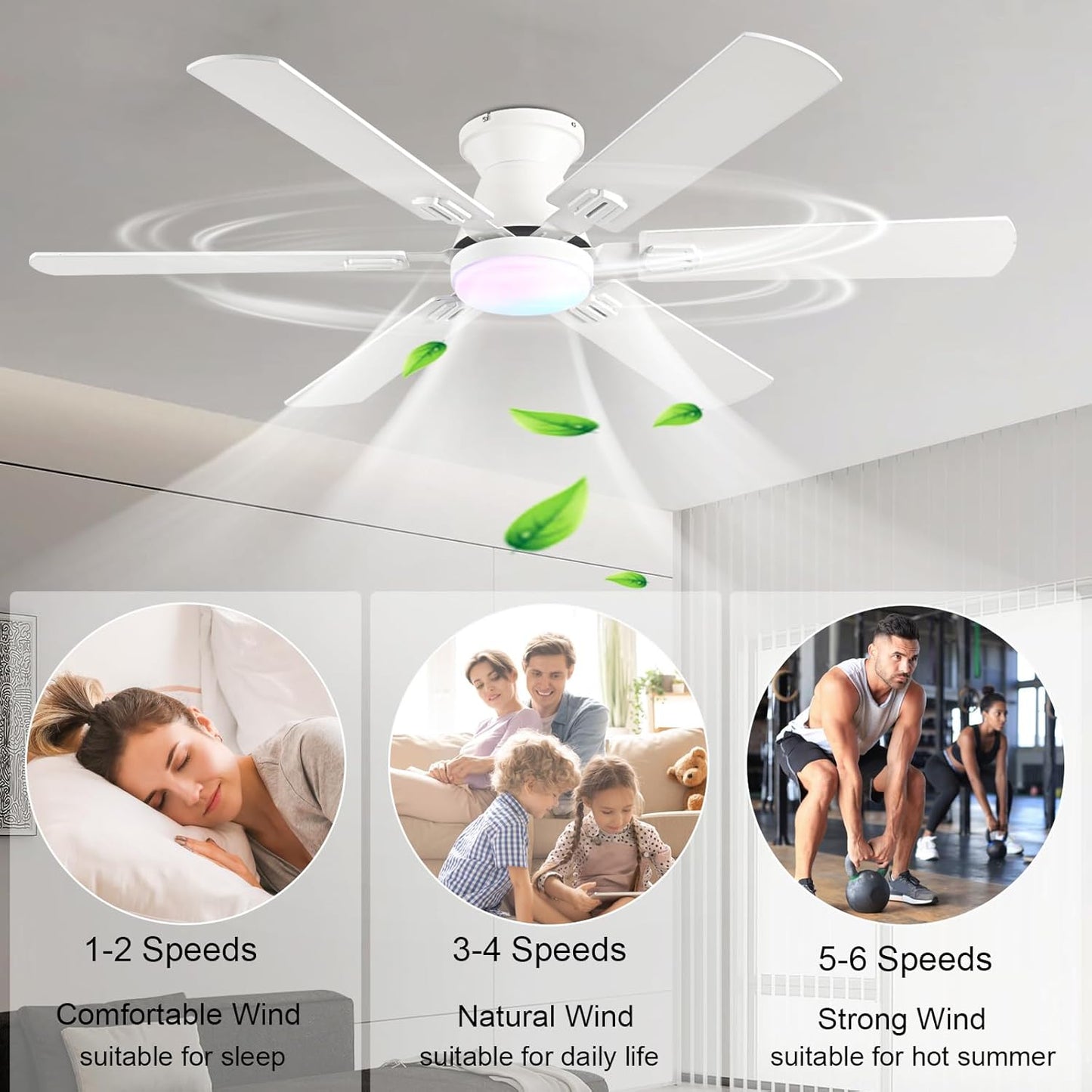 Ceiling Fan SY93