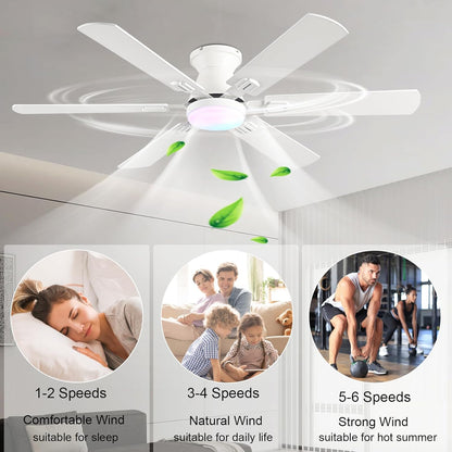 Ceiling Fan SY93