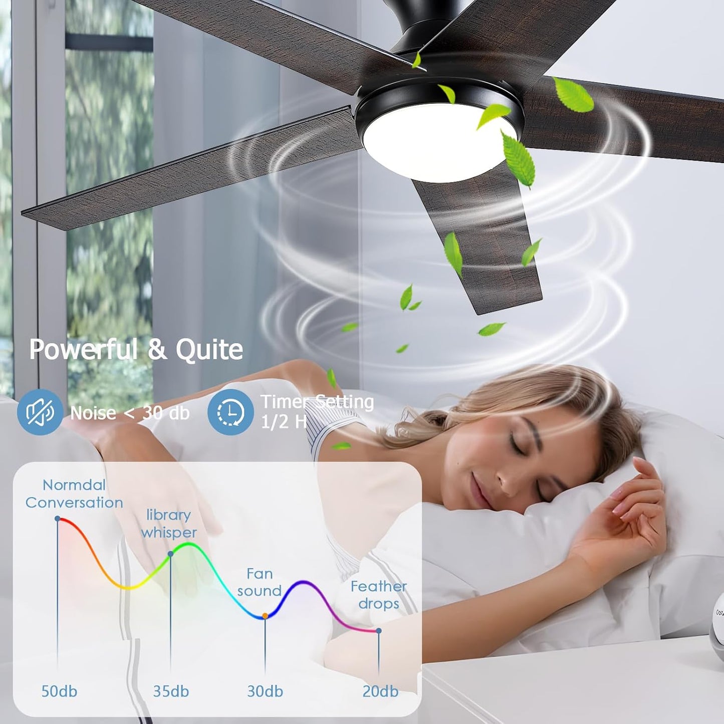 Ceiling Fan 78-48