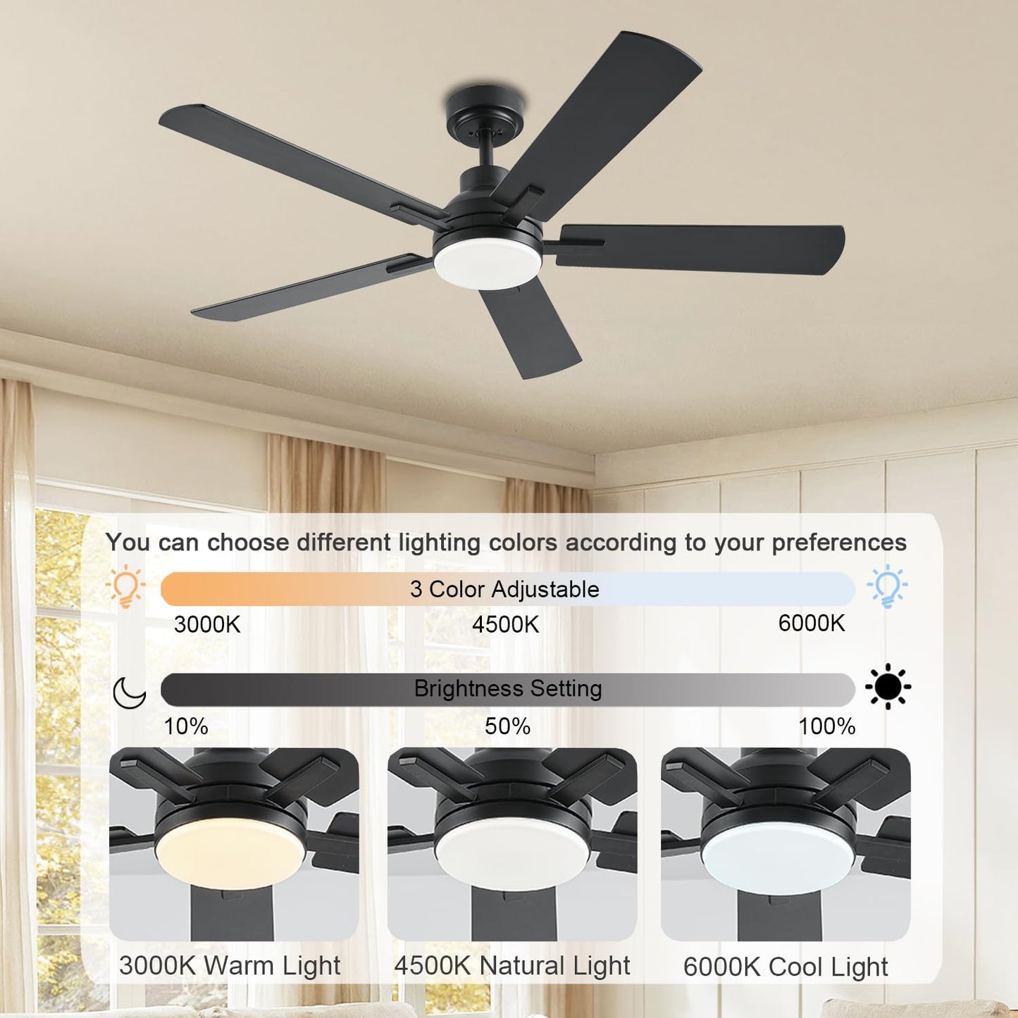 Ceiling Fan JL-53