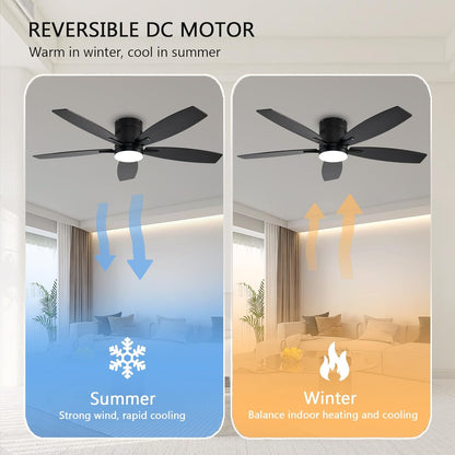 Ceiling Fan SY-81
