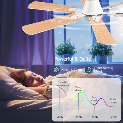Ceiling Fan SY93