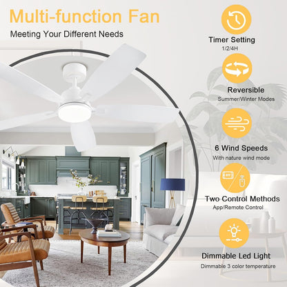 Ceiling Fan SY54