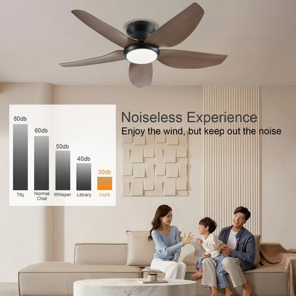 Ceiling Fan GJ-55