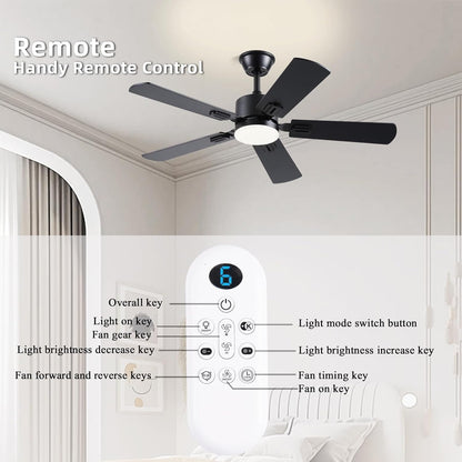 Ceiling Fan SY39
