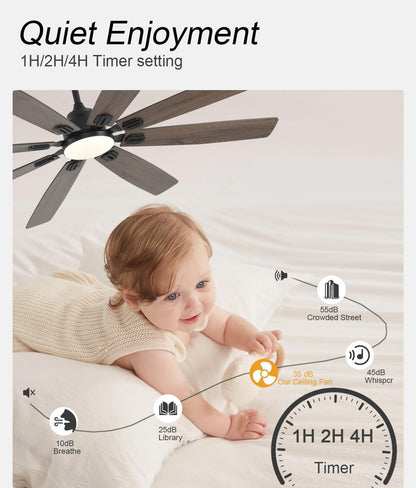 Ceiling Fan JL-89