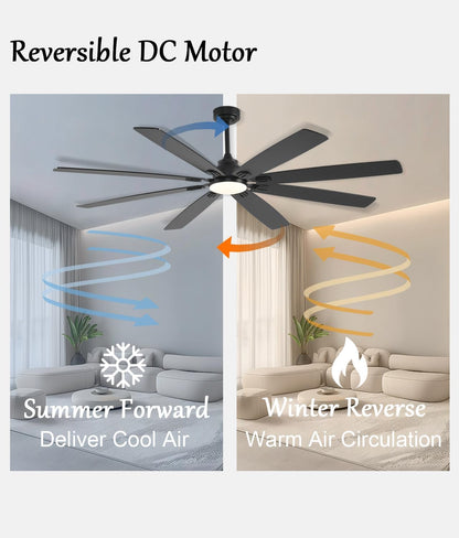 Ceiling Fan JL-89