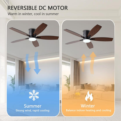 Ceiling Fan SY-81