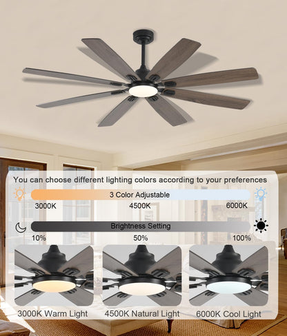 Ceiling Fan JL-89