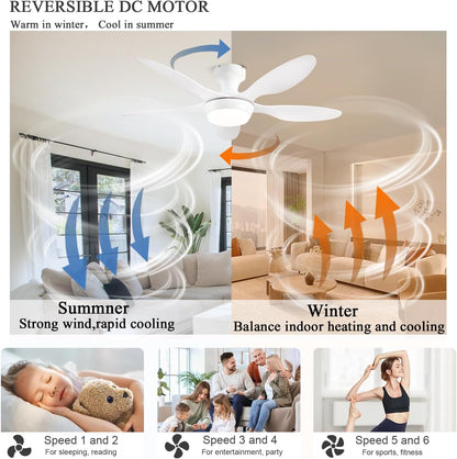 Ceiling Fan Gg-72
