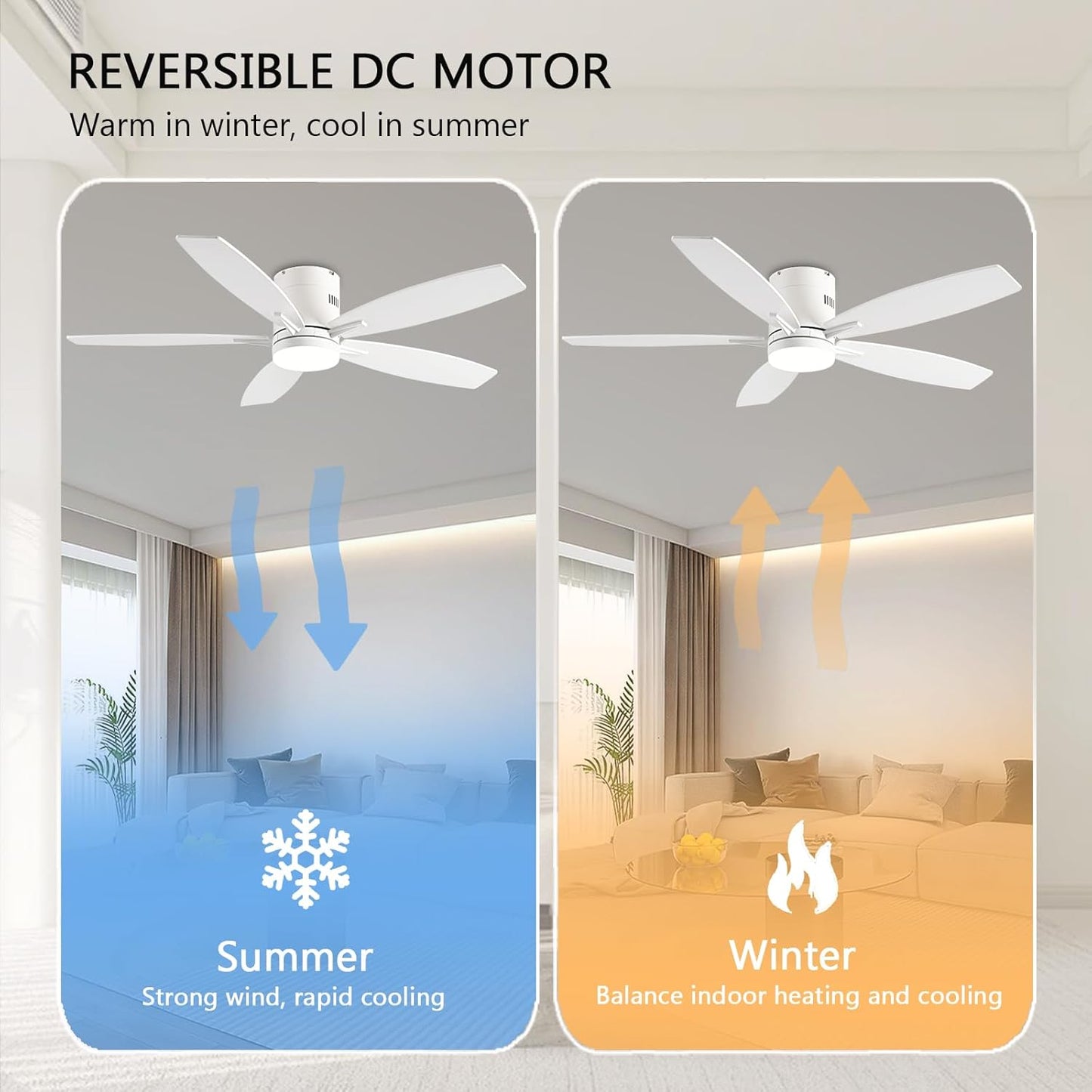 Ceiling Fan SY-81