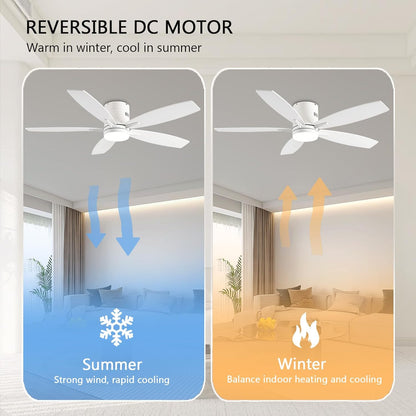 Ceiling Fan SY-81
