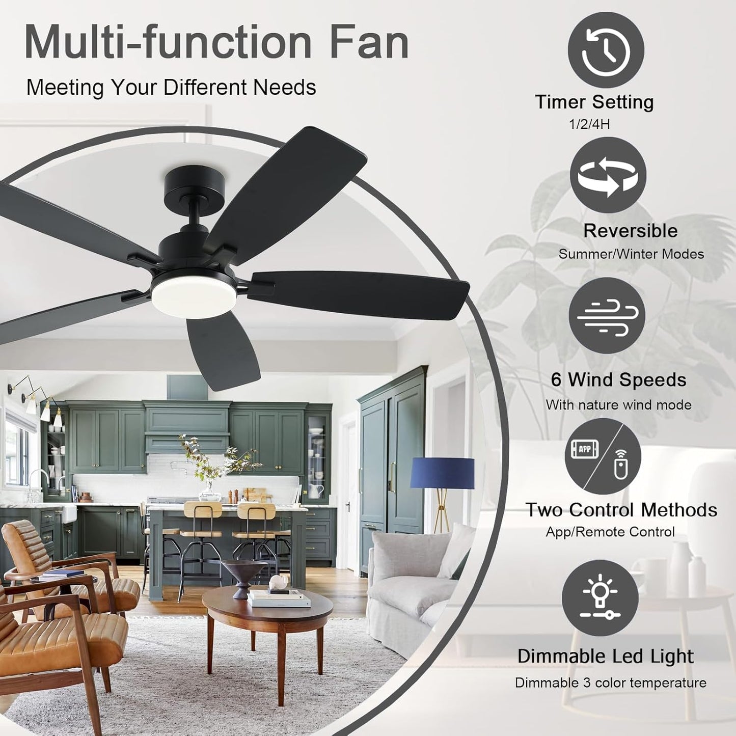 Ceiling Fan SY54