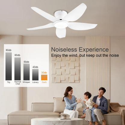 Ceiling Fan GJ-55