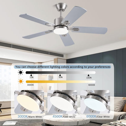 Ceiling Fan SY39