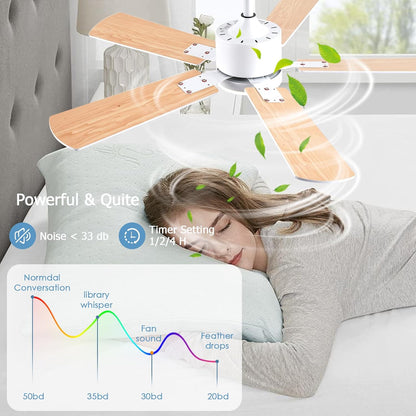 Ceiling Fan SY39