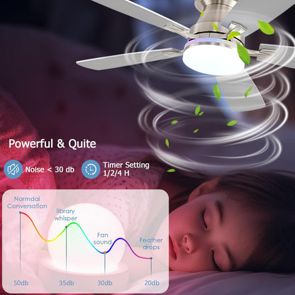 Ceiling Fan SY-62