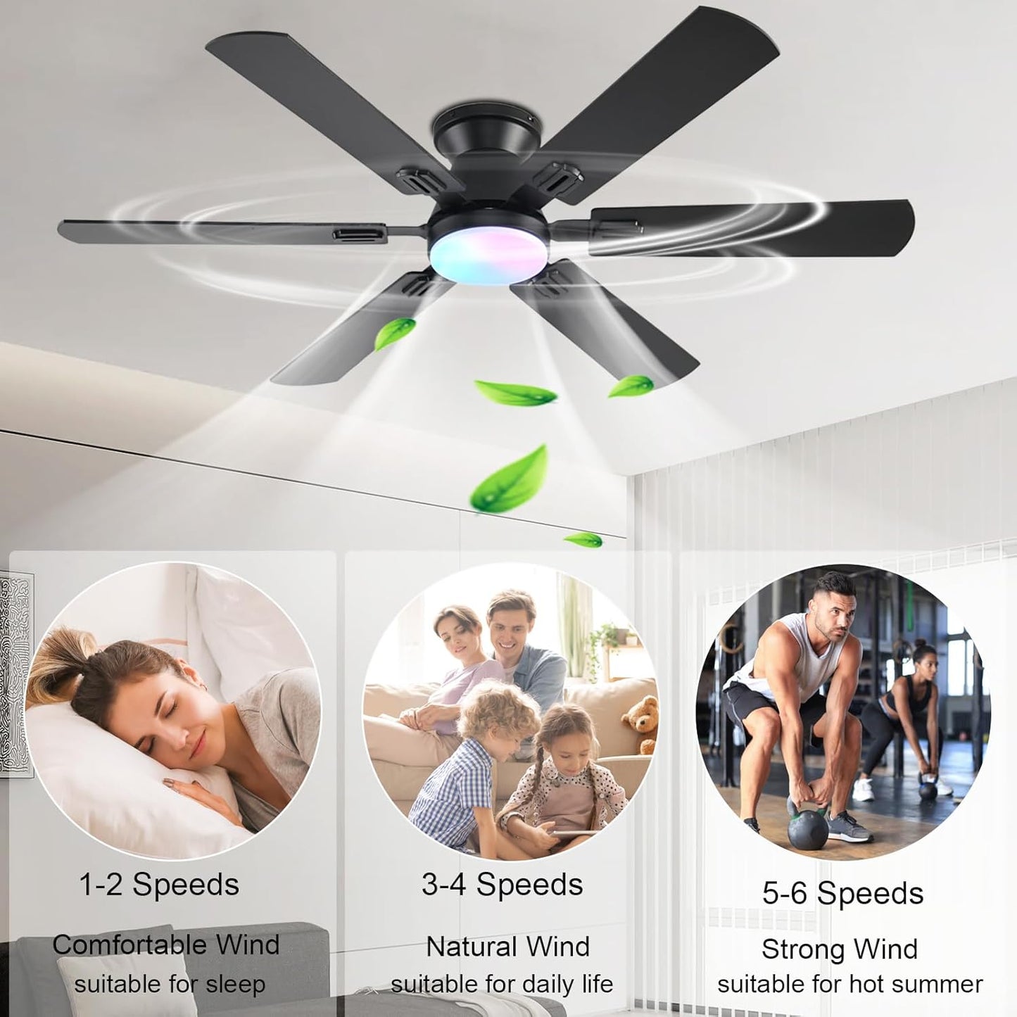 Ceiling Fan SY93