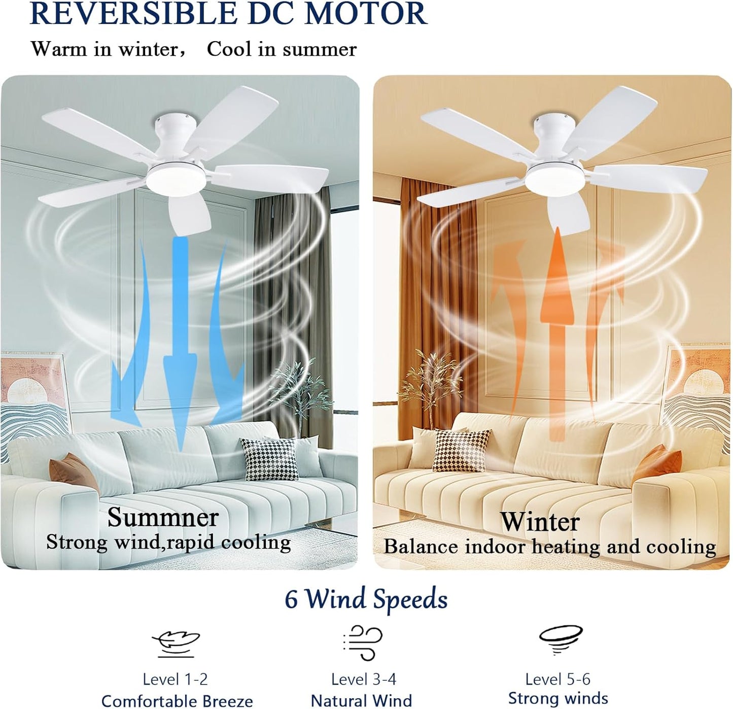 Ceiling Fan JL-66