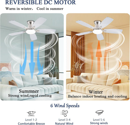 Ceiling Fan JL-66