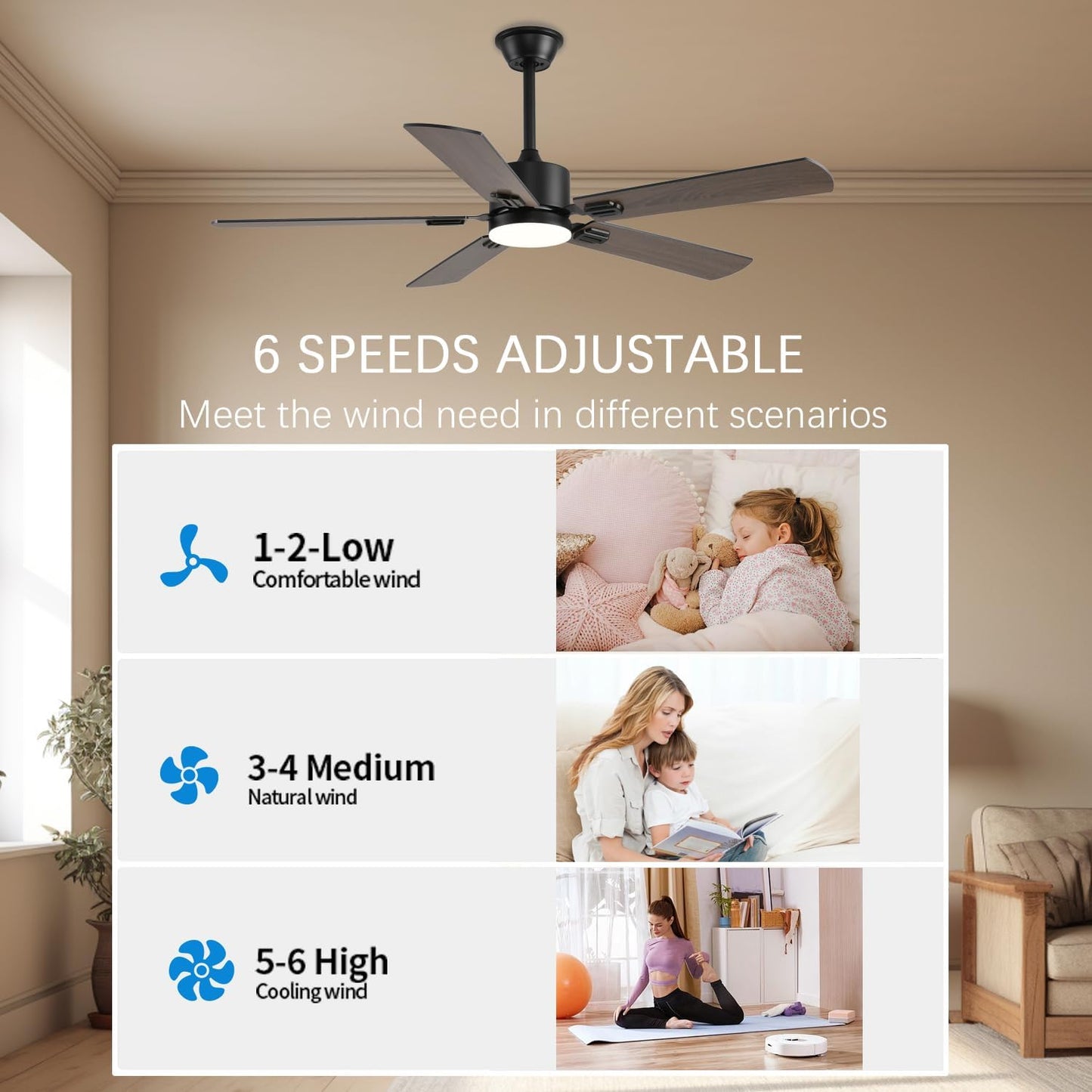 Ceiling Fan SY39