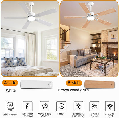 Ceiling Fan SY39