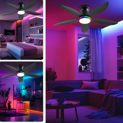 Ceiling Fan JL-61