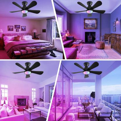 Ceiling Fan SY73