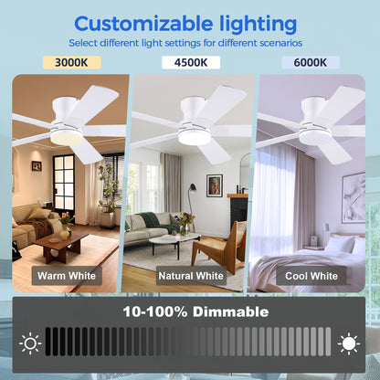 52inch Black Ceiling Fan with Light and Remote- Flush Mount Fan Light with 5 Reversible Blades, 3CCT Dimmable, DC, Low Profile Ceiling Fan for Indoor, Outdoor, Summer