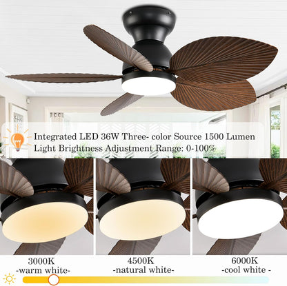 Ceiling Fan Gg-70