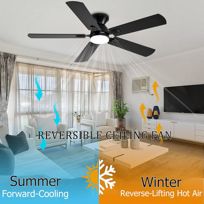 Ceiling Fan SY31