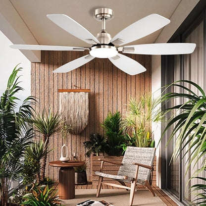 Ceiling Fan SY-86