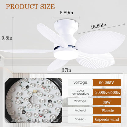 Ceiling Fan Gg-70
