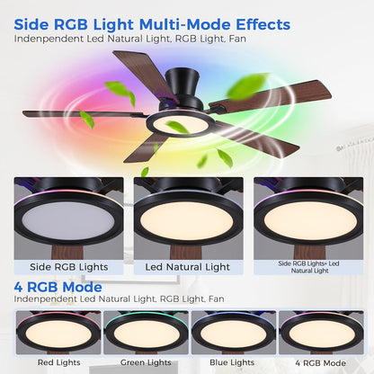 Ceiling Fans with Lights - 52in Flush Mount Ceiling Fan with RGB Dimmable, 3CCT 6 Wind Speeds and Reversible Quiet Motor, Low Profile RGB Fan Light for Modern Indoor, Party 8886-Black 8886-White 8886-Brown 8886-Nickel