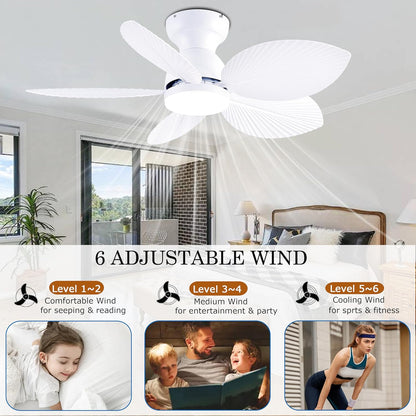 Ceiling Fan Gg-70