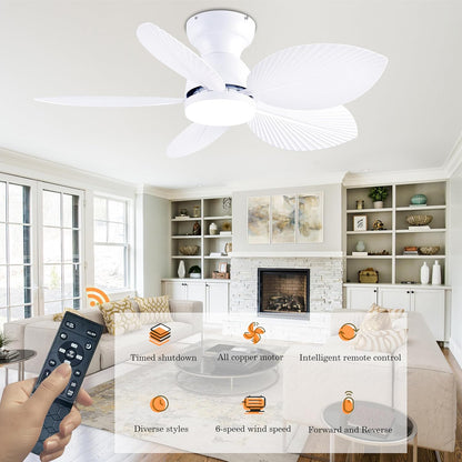 Ceiling Fan Gg-70