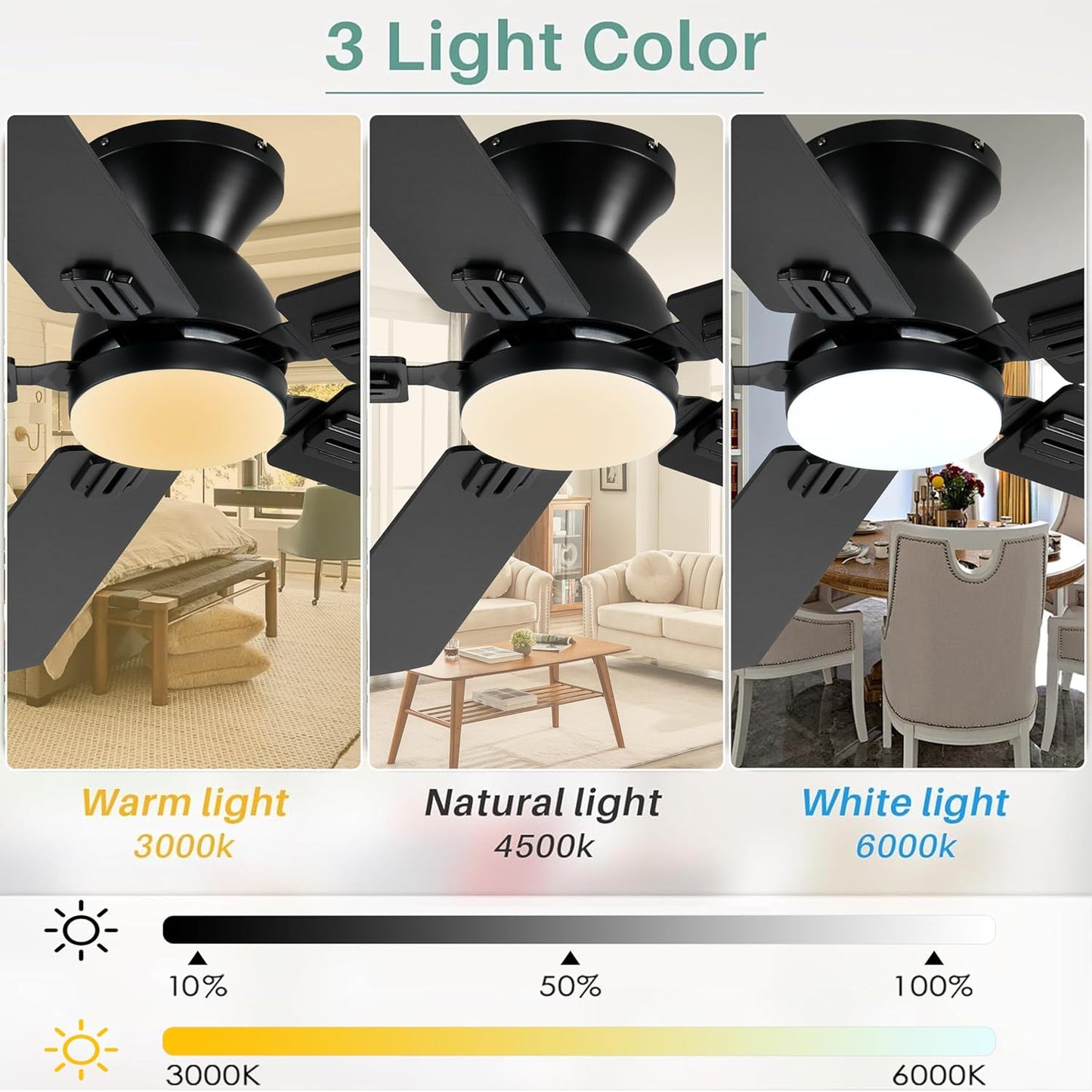 Ceiling Fan SY31