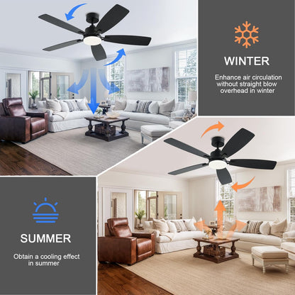 Ceiling Fan SY54