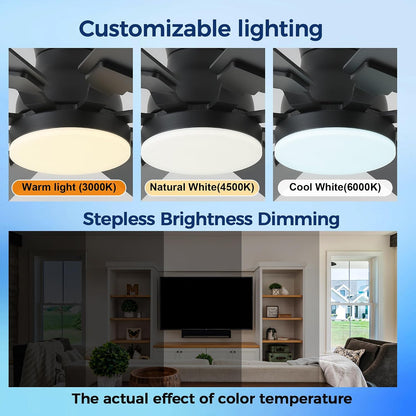 JSAITEE 52 inch Ceiling Fan with Light, 6 Speeds Reversible Low Profile Ceiling Fan with Light and Remote/APP Control, 3 Color Temp+Dimmable RGB, 8 Blades, Flush Mount Quiet Ceiling Fans, Black JL99-Black