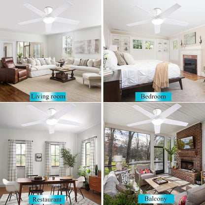 Ceiling Fan 78-48