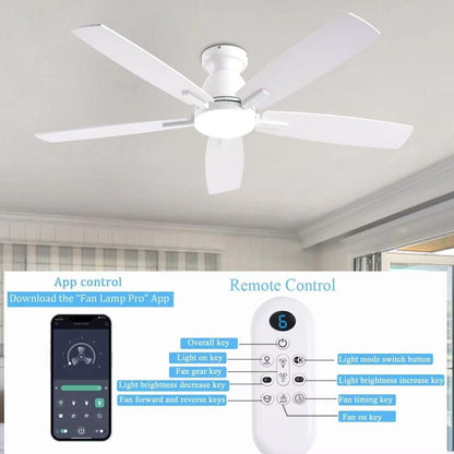 Ceiling Fan SY75