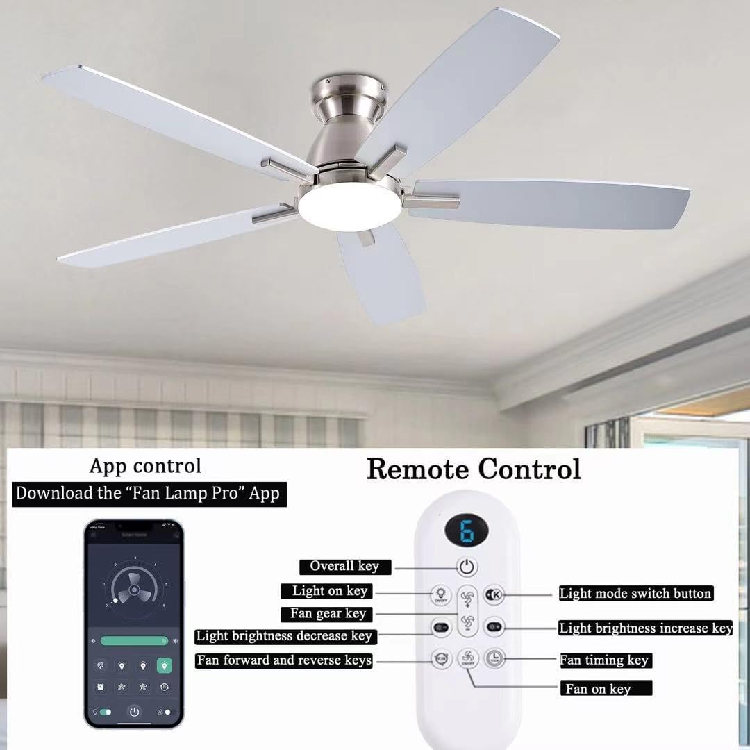 Ceiling Fan SY75