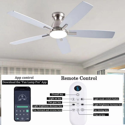 Ceiling Fan SY75