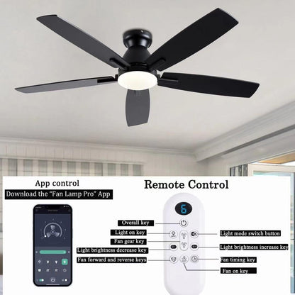 Ceiling Fan SY75