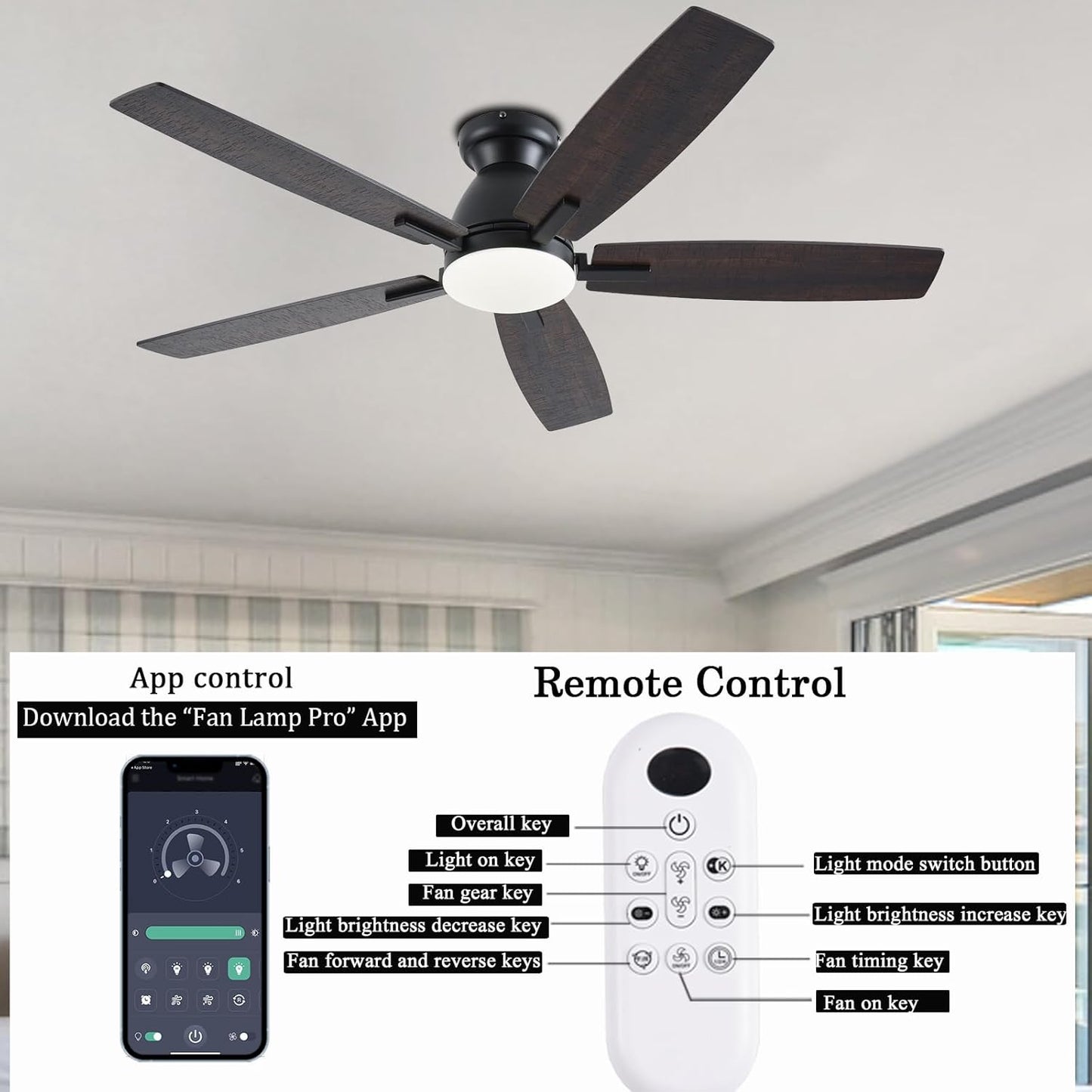 Ceiling Fan SY75